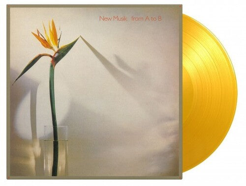 New Musik From A To B - Double Record Album - Vinyl LP