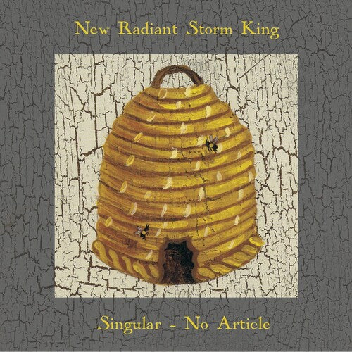 New Radiant Storm King Singular, No Article - Record Album - Vinyl LP