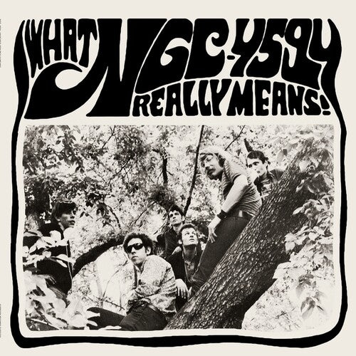 Ngc-4594 What NGC-4594 Really Means! - Record Album - Vinyl LP