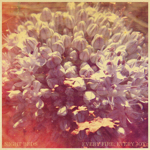 Night Beds Every Fire: Every Joy - CD Album