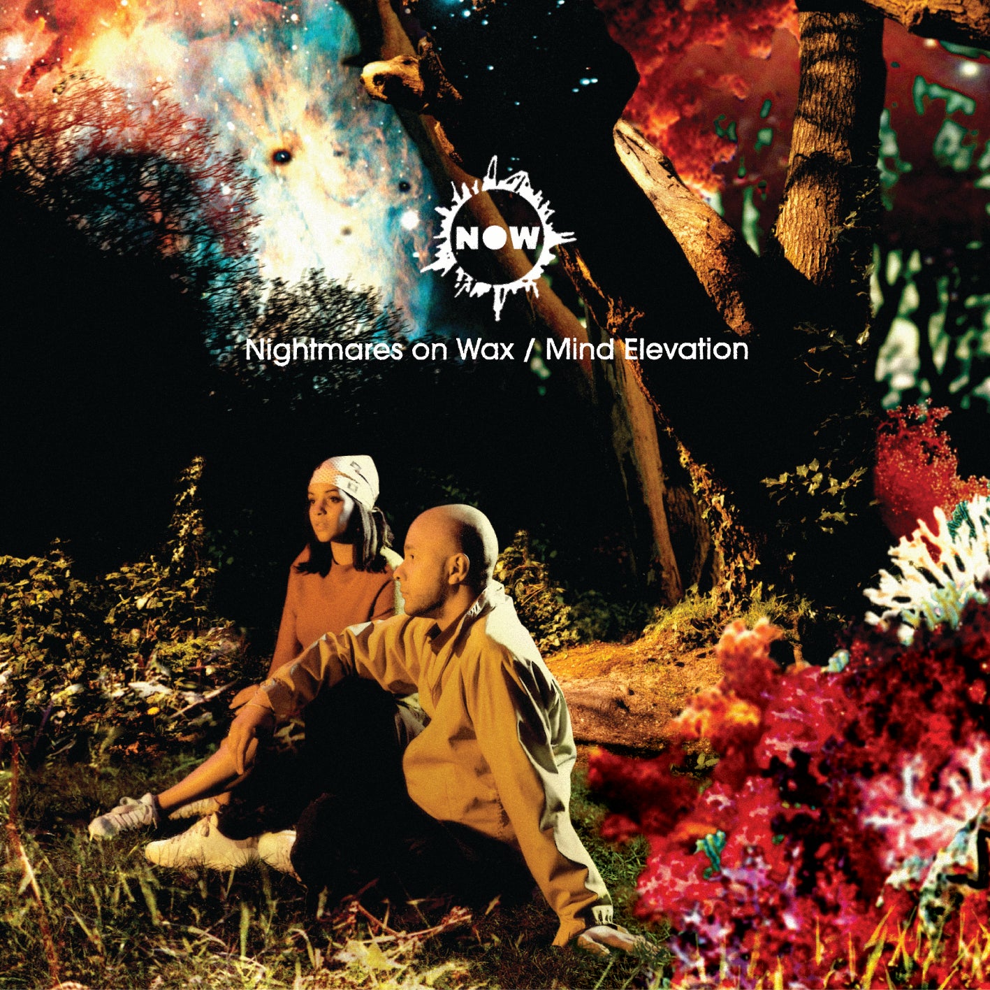 NIGHTMARES ON WAX Mind Elevation