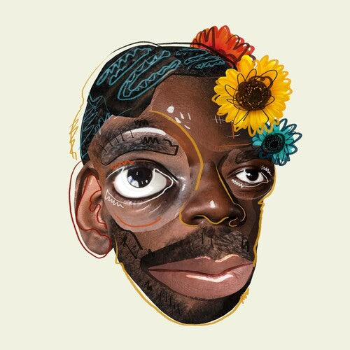 Nnamdi Please Have A Seat - Record Album - Vinyl LP