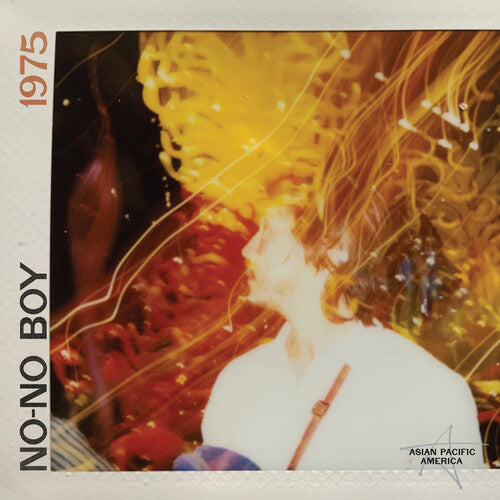 No-No Boy 1975 - Record Album - Vinyl LP