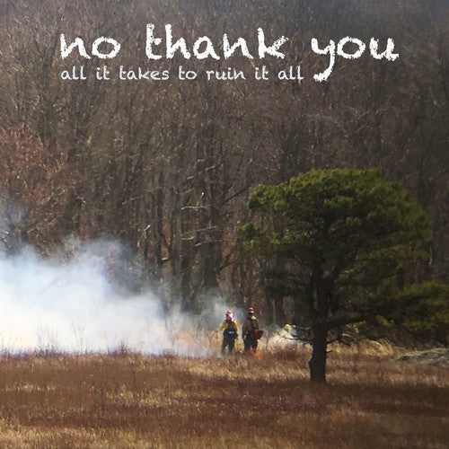No Thank You All It Takes To Ruin It All - Record Album - Vinyl LP