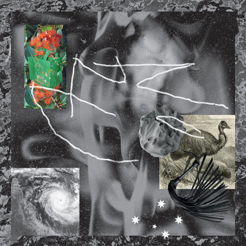 No Zu Afterlife - Record Album - Vinyl LP