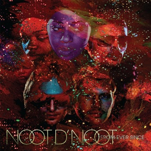 Noot D Noot From Ever Since - Record Album - Vinyl LP