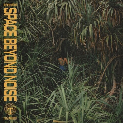 NOT EVEN NOTICED Space Beyond Noise - Record Album - Vinyl LP