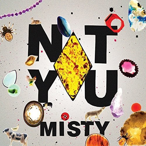 Not You Misty - Record Album - Vinyl LP