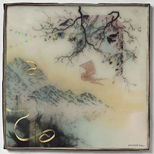 Novo Amor Birthplace - Record Album - Vinyl LP