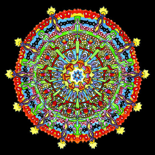 Of Montreal Hissing Fauna, Are You The Destroyer? - CD Album