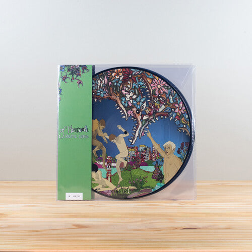 Of Montreal Skeletal Lamping (Picture Disc Edition) - Double Record Album - Vinyl LP