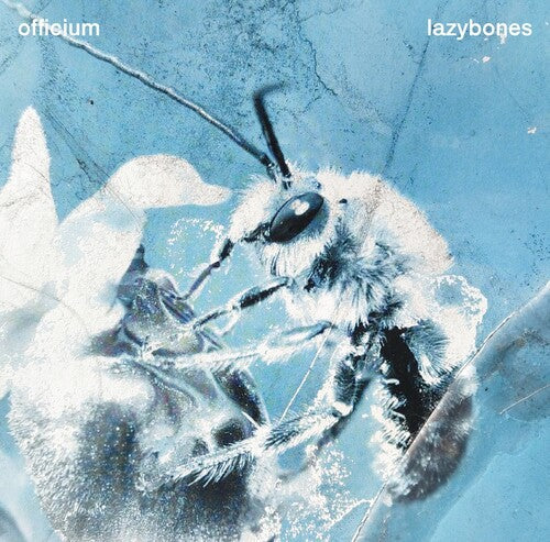 Officium Lazybones - Record Album - Vinyl LP