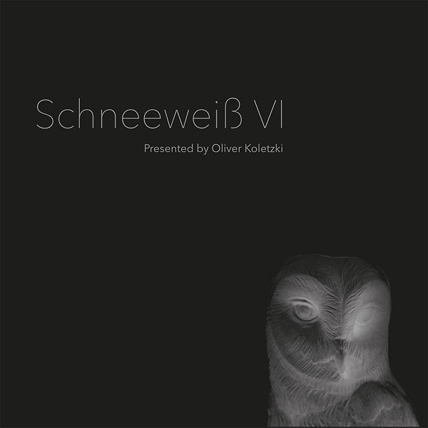 OLIVER KOLETZKI Schneeweiss VI