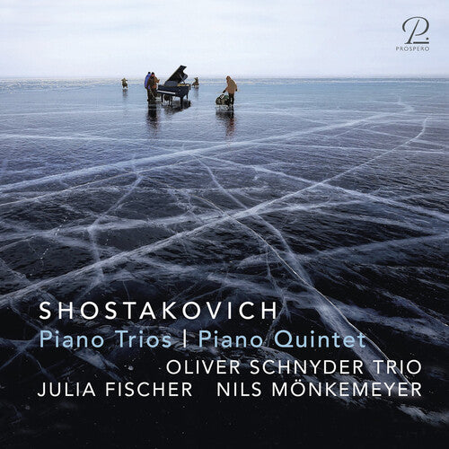 Oliver Schnyder Trio Chamber Music (Piano Trios, Piano Quintet) - Double Record Album - Vinyl LP
