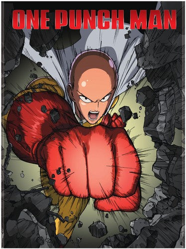 One - Punch Man (Standard Edition) One Punch Man (Standard Edition) - 2-Disc DVD Set
