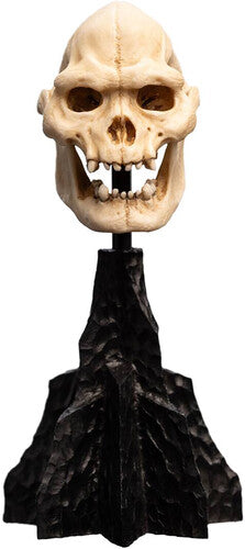 Open Edition Polystone WETA Workshop Polystone - The Lord of the Rings Trilogy - Skull of Lurtz Polystone Statue - Collectibles