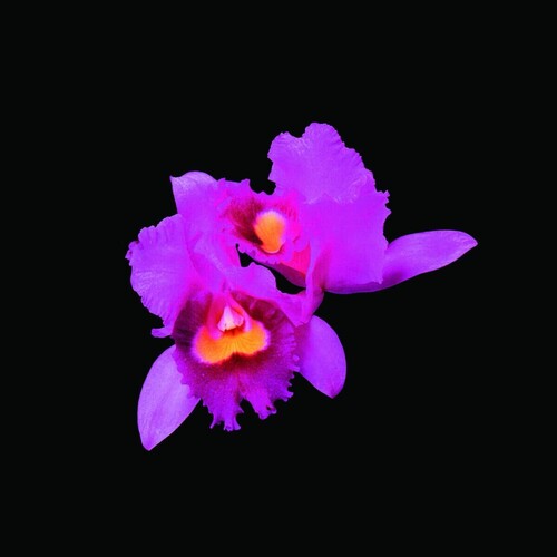 Opeth Orchid - CD Album