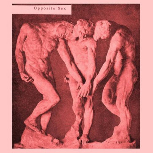 Opposite Sex Opposite Sex - Record Album - Vinyl LP