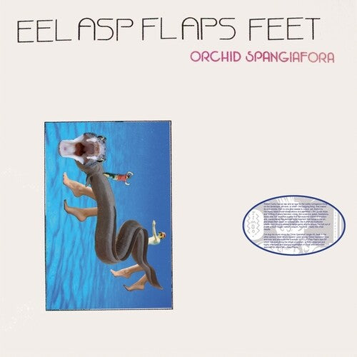 ORCHID SPANGIAFORA Eel Asp Flaps Feet - Record Album - Vinyl LP