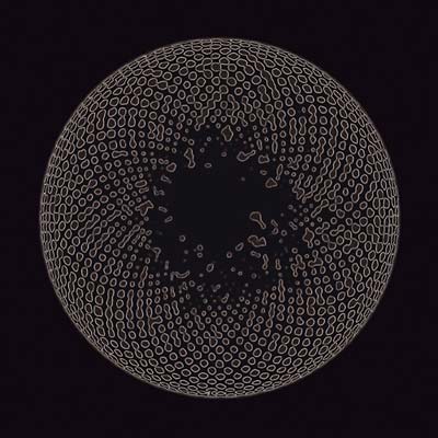 ORGAN EYE Organ Eye