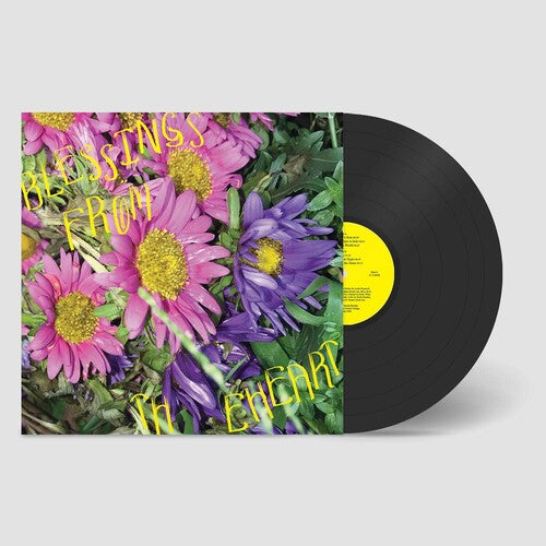 Other Joe blessings from the eheart - Record Album - Vinyl LP