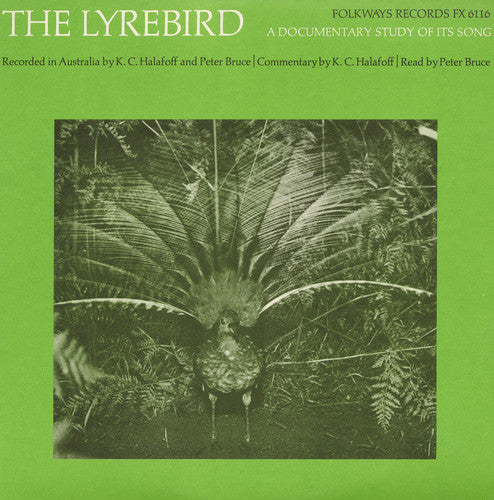 P. Bruce The Lyrebird: A Documentary Study of It's Song - CD Album