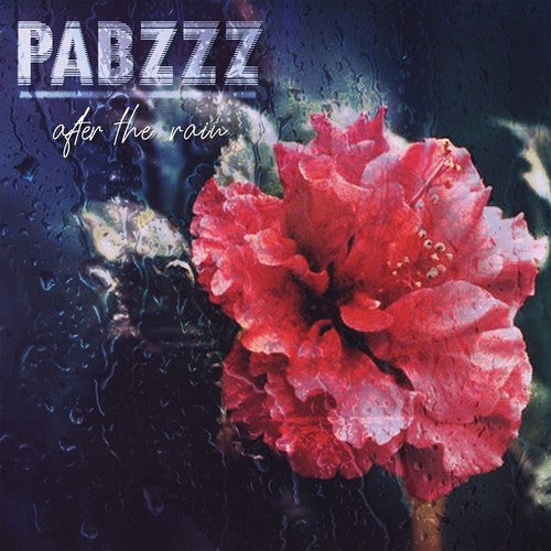 Pabzzz After The Rain - Record Album - Vinyl LP