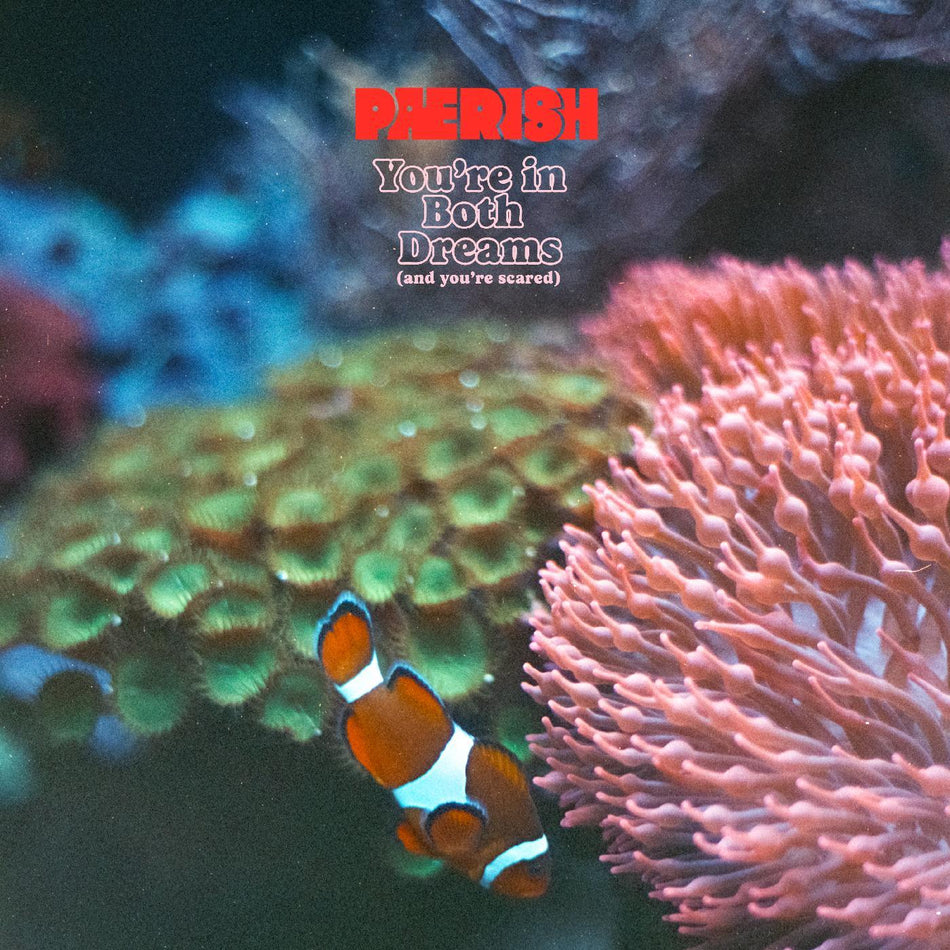 PAERISH You're In Both Dreams (and You're Scared)