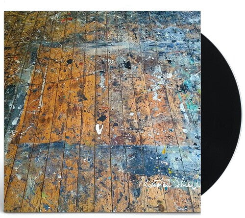 Painted Shield Painted Shield - Record Album - Vinyl LP