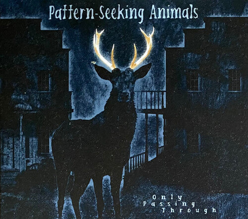 Pattern-Seeking Animals Only Passing Through - CD Album