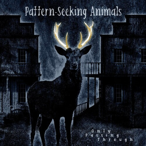 Pattern-Seeking Animals Only Passing Through - Triple Record Album - Vinyl LP