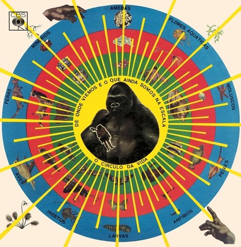 Pedro Santos Krishnanda - Record Album - Vinyl LP