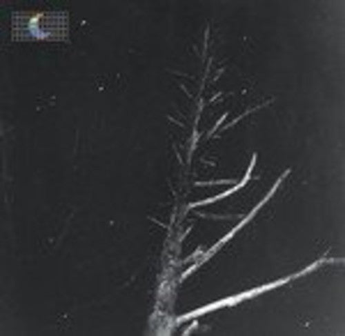 Peter Broderick (Colour of the Night) Satellite - Record Album - Vinyl LP