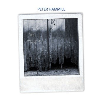 Peter Hammill From The Trees