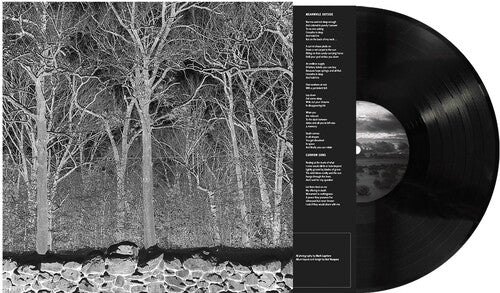 Pile Sunshine and Balance Beams - Record Album - Vinyl LP