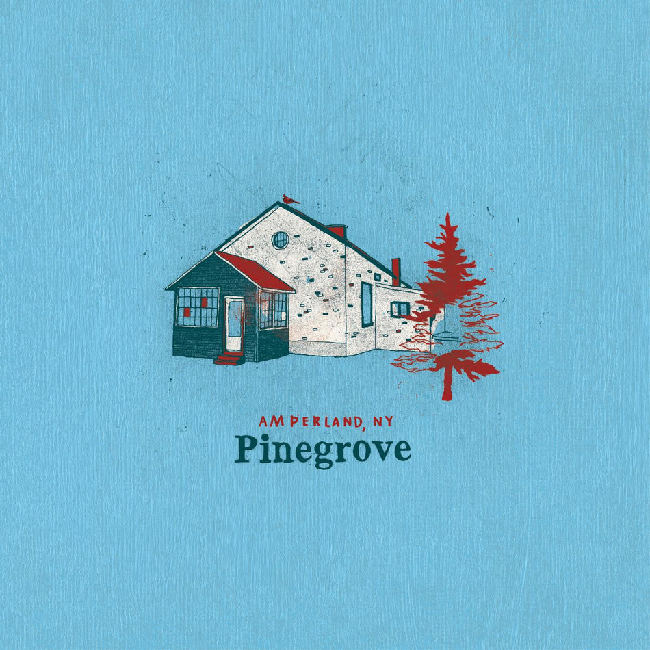 Pinegrove Amperland, NY