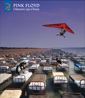 Pink Floyd A Momentary Lapse Of Reason: Remixed & Updated (With Booklet)