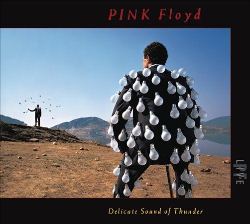 Pink Floyd Delicate Sound Of Thunder (Live) (Digipack Packaging) (2 Cd's)