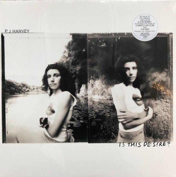PJ Harvey Is This Desire?