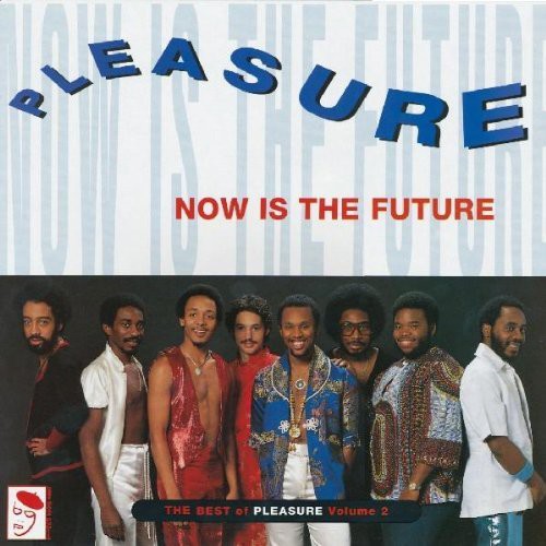 Pleasure Now Is Future: Best of Pleasure - Record Album - Vinyl LP