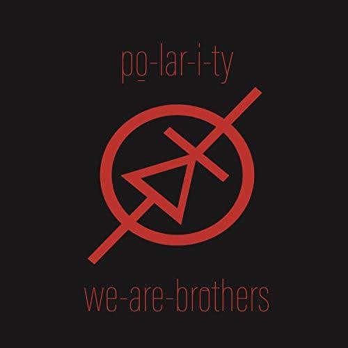Po-Lar-I-Ty We Are Brothers - Record Album - Vinyl LP