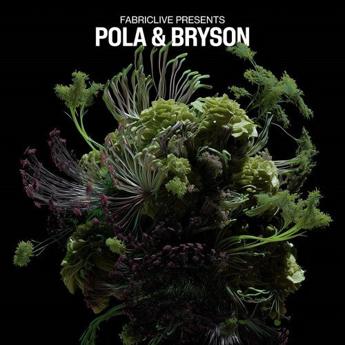 Pola & Bryson FABRICLIVE presents Pola & Bryson - Double Record Album - Vinyl LP