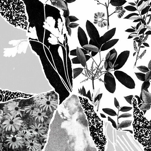 Ponctuation Mon Herbier Du Monde Entier - CD Album
