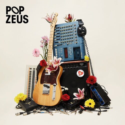 Pop Zeus This Doesn't Feel Like Home (Unreleased Demos 2011-2014) - Record Album - Vinyl LP
