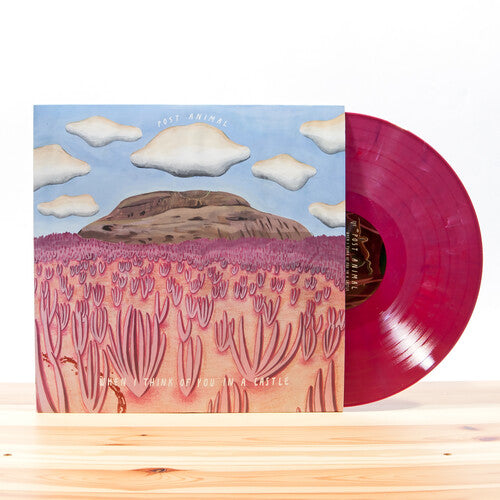 Post Animal When I Think Of You In A Castle - Record Album - Vinyl LP