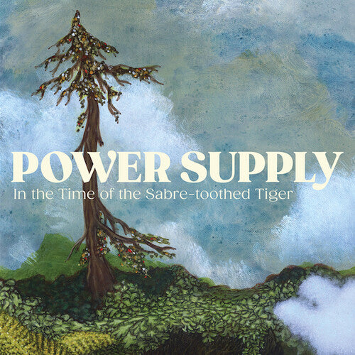 Power Supply In The Time Of The Sabre-toothed Tiger - Record Album - Vinyl LP