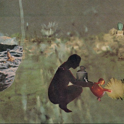 Psycho & the Birds We've Moved - Record Album - Vinyl LP