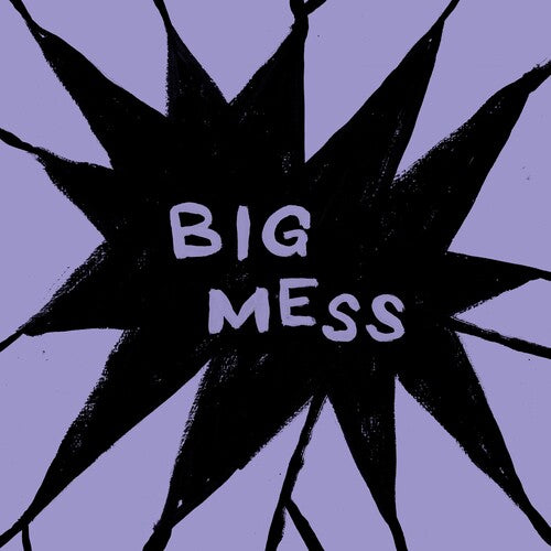 Public Body Big Mess - Record Album - Vinyl LP