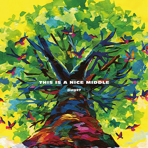 Pug27 This Is A Nice Middle - Record Album - Vinyl LP