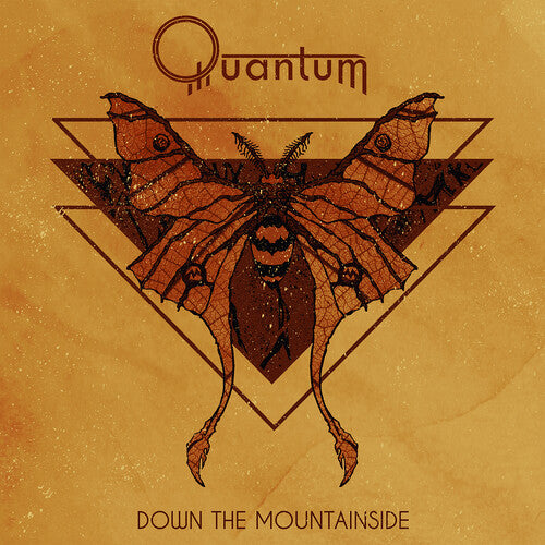Quantum Down The Mountainside - CD Album